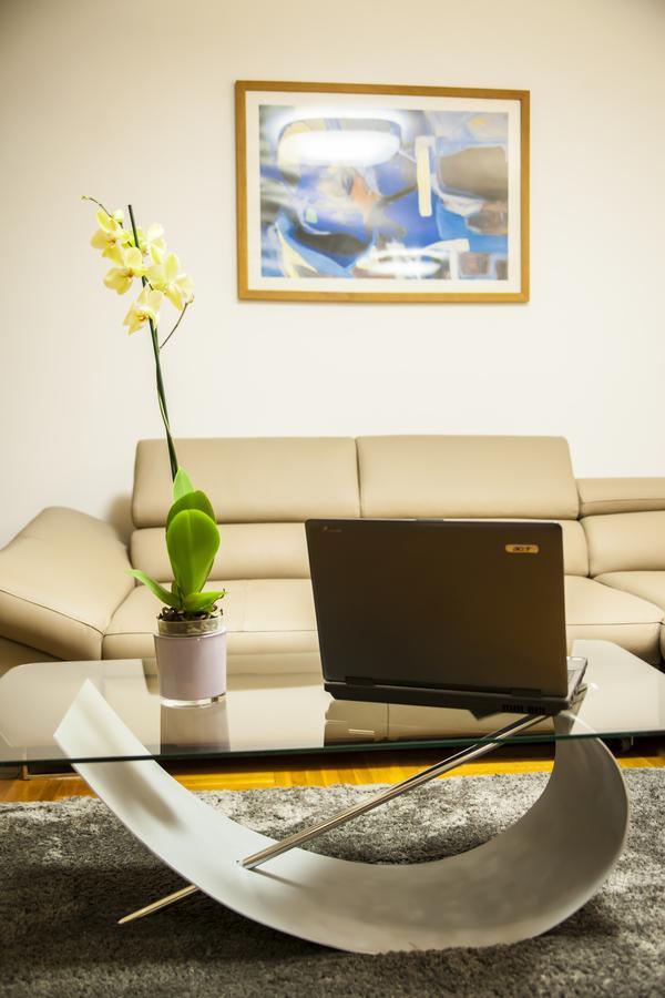 Business Class Apartment 克卢日-纳波卡 外观 照片